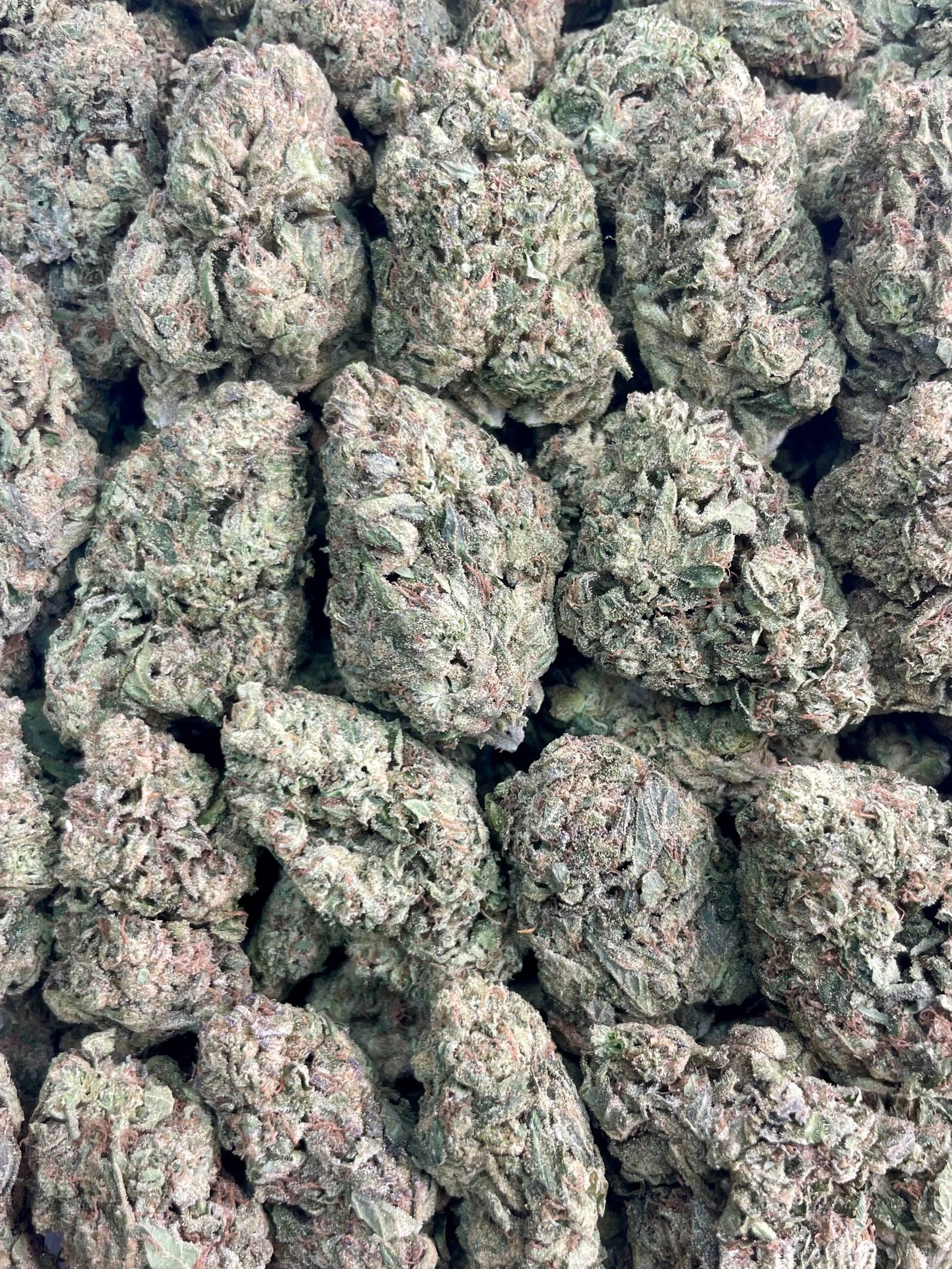LCG – 1 lb