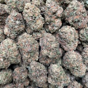 Bacio – 1 lb