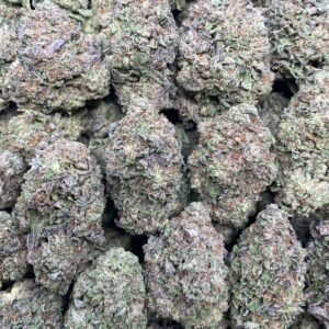 Gelato Runtz – 1 lb