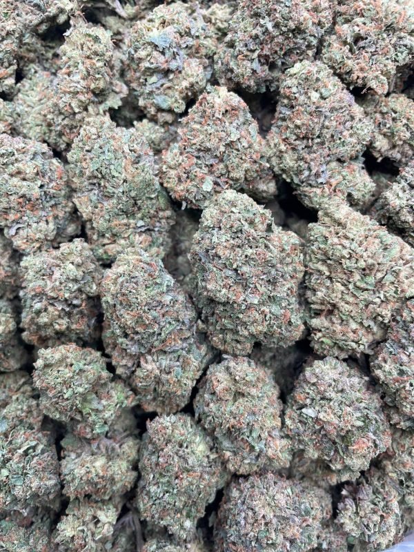 Super Gelato – 1 lb