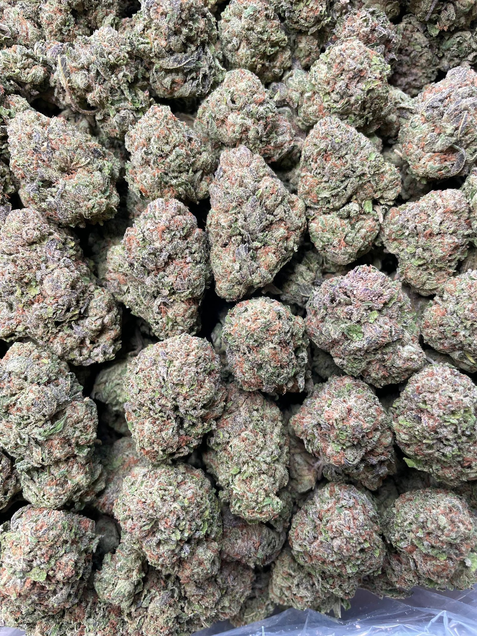 Lemon Cherry Nerdz – 1 lb
