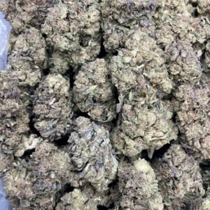 GSC – 1 lb