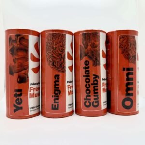 Capital Flights – 3.5g Freeze Dried Mushrooms
